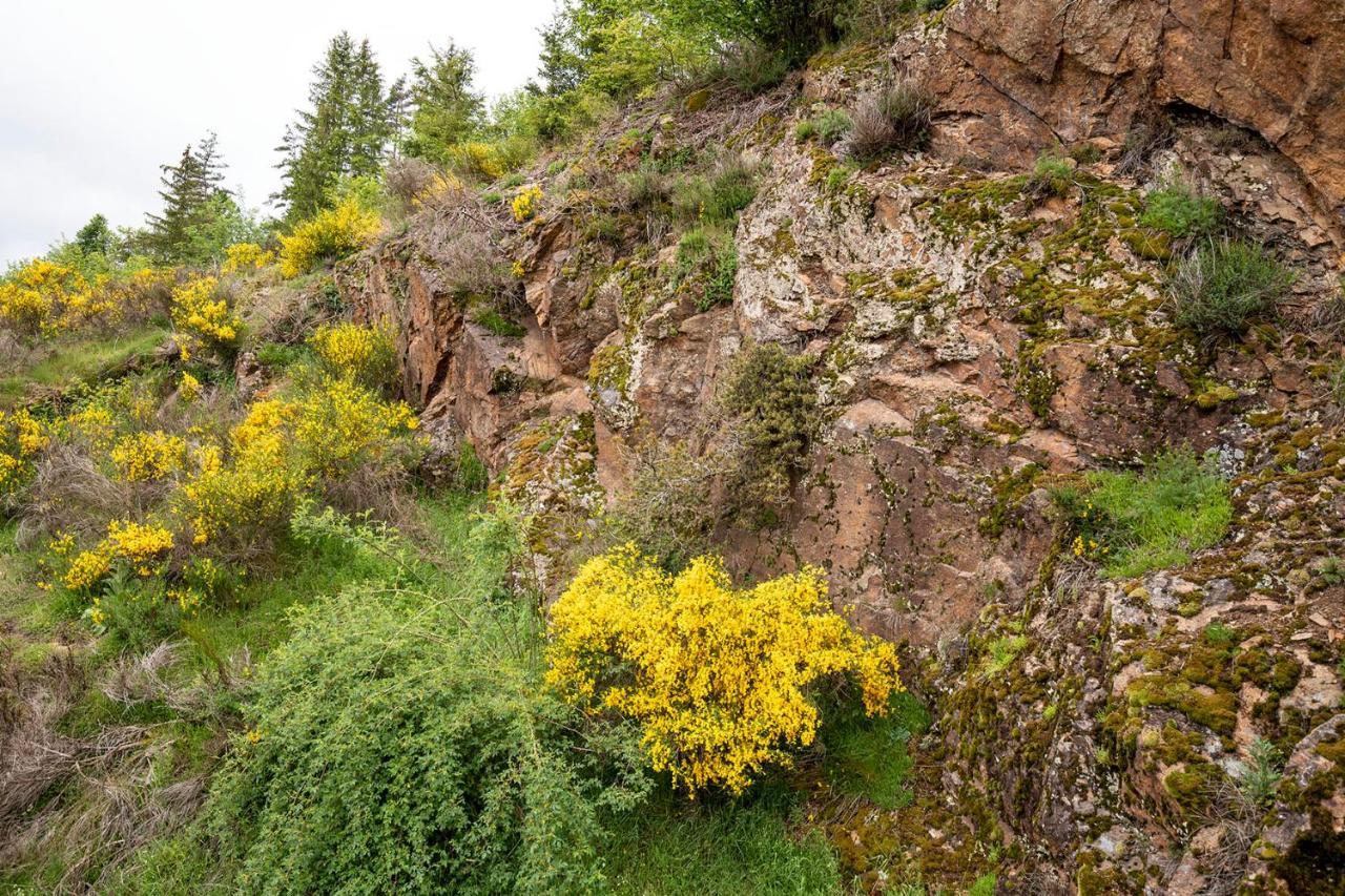 Moulin Des Comtes - Chambre Les Rochers Viverols Eksteriør billede